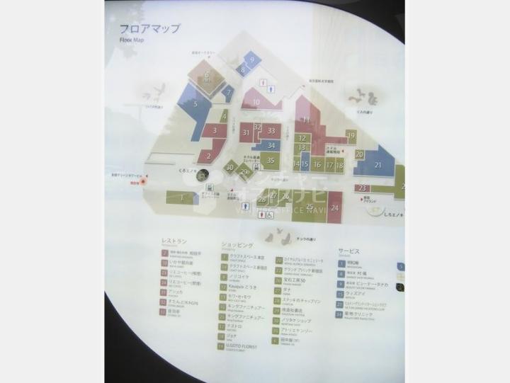 【ヒルトン東京】
